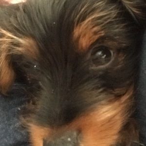 Meet your Posher, April